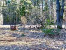 30 PEEVER LINE | Powassan Ontario | Slide Image Twelve
