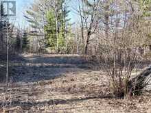 30 PEEVER LINE | Powassan Ontario | Slide Image Four