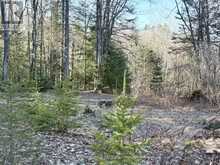30 PEEVER LINE | Powassan Ontario | Slide Image Five