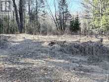 30 PEEVER LINE | Powassan Ontario | Slide Image Nine