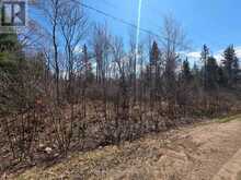 LT 14 PART 2 HAZELWOOD ROAD | Mattawan Ontario | Slide Image Three