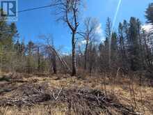 LT 14 PART 1 HAZELWOOD ROAD | Mattawan Ontario | Slide Image Four