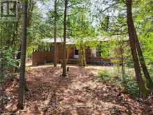 2 ISLAND 939 | Temagami Ontario | Slide Image Twelve