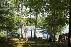 21 JACK'S LAKE | Parry Sound Ontario | Slide Image Forty-nine