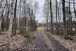 1876 ALSACE ROAD | Powassan Ontario | Slide Image Twelve