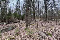 1876 ALSACE ROAD | Powassan Ontario | Slide Image Nineteen