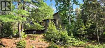 PT 127 ISLAND | Temagami Ontario | Slide Image Ten