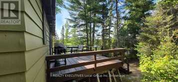 PT 127 ISLAND | Temagami Ontario | Slide Image Twelve