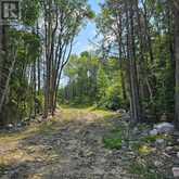 1267 SNAKE CREEK ROAD | Mattawan Ontario | Slide Image Eight
