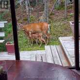 104 HEMLOCK ISLAND | North Bay Ontario | Slide Image Ten