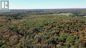 PT LT 5 CON 14 SOUTH HORN LAKE ROAD | Magnetawan Ontario | Slide Image Ten