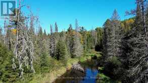 PT LT 5 CON 14 SOUTH HORN LAKE ROAD | Magnetawan Ontario | Slide Image Seventeen