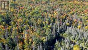 PT LT 5 CON 14 SOUTH HORN LAKE ROAD | Magnetawan Ontario | Slide Image One