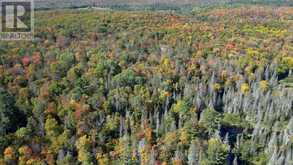 PT LT 5 CON 14 SOUTH HORN LAKE ROAD | Magnetawan Ontario | Slide Image Two