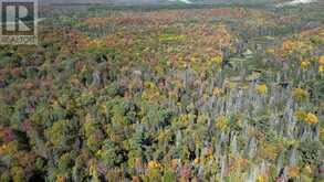 PT LT 5 CON 14 SOUTH HORN LAKE ROAD | Magnetawan Ontario | Slide Image Three