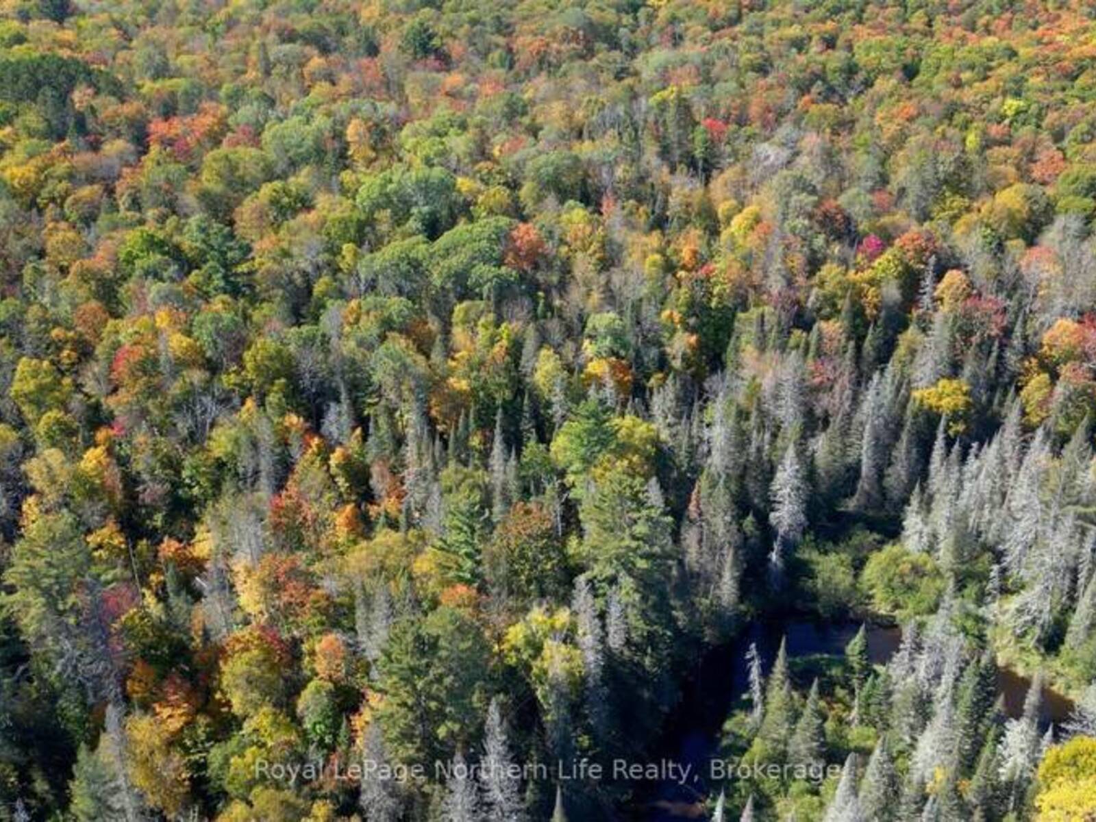 PT LT 5 CON 14 SOUTH HORN LAKE ROAD, Magnetawan, Ontario P0A 1C0