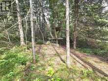 680 MOUNT PLEASANT ROAD | Calvin Ontario | Slide Image Fourteen