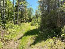 324 PROUDFOOT ROAD N | Sundridge Ontario | Slide Image Nineteen