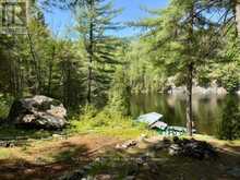 673 RABBIT LAKE | Temagami Ontario | Slide Image Three