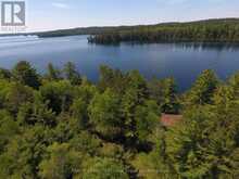 758 ISLAND | Temagami Ontario | Slide Image Seven