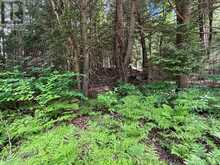 LOT 2 LATIMER LANE | Calvin Ontario | Slide Image Seven