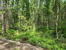 360 GRAHAMVALE ROAD | North Bay Ontario | Slide Image Seven