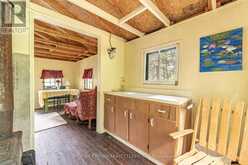 28 CASSELS LAKE C ISLAND | Bear Island Ontario | Slide Image Twenty-two