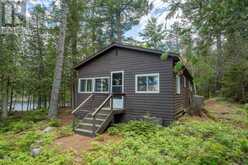 28 CASSELS LAKE C ISLAND | Bear Island Ontario | Slide Image Twenty-nine