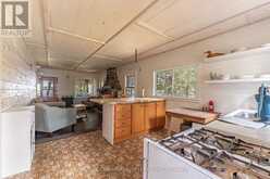 28 CASSELS LAKE C ISLAND | Bear Island Ontario | Slide Image Thirty-two