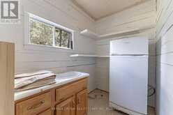 28 CASSELS LAKE C ISLAND | Bear Island Ontario | Slide Image Forty