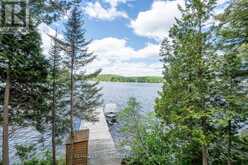 28 CASSELS LAKE C ISLAND | Bear Island Ontario | Slide Image Forty-five