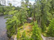 28 CASSELS LAKE C ISLAND | Bear Island Ontario | Slide Image Forty-seven