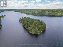 28 CASSELS LAKE C ISLAND | Bear Island Ontario | Slide Image Forty-nine
