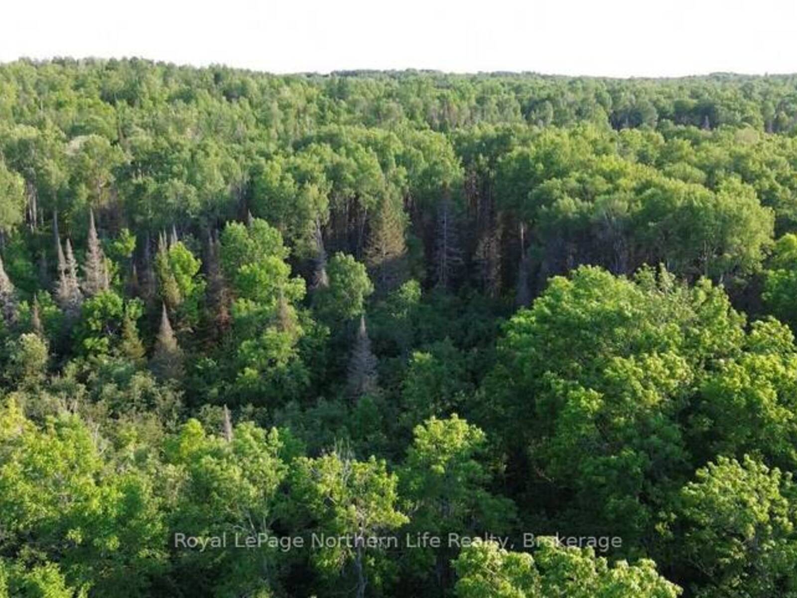 461 ALDERDALE ROAD, North Bay, Ontario P0H 1B0