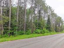 0 CON 12 PT LOT 11 PEARCELEY ROAD | Sundridge Ontario | Slide Image Two