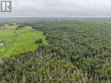 0 CON 12 PT LOT 11 PEARCELEY ROAD | Sundridge Ontario | Slide Image Five