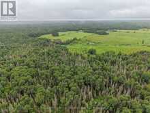 0 CON 12 PT LOT 11 PEARCELEY ROAD | Sundridge Ontario | Slide Image Nine