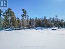 8 GRAND TRUNK ISLAND | North Bay Ontario | Slide Image Seventeen