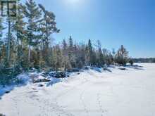 8 GRAND TRUNK ISLAND | North Bay Ontario | Slide Image Eighteen