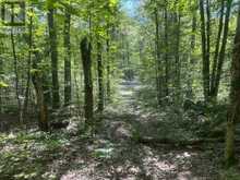 PART LOT 14 CONCESSION 7 | McMurrich/Monteith Ontario | Slide Image Eleven