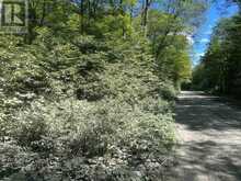 PART LOT 14 CONCESSION 7 | McMurrich/Monteith Ontario | Slide Image Twelve