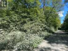 PART LOT 14 CONCESSION 7 | McMurrich/Monteith Ontario | Slide Image Thirteen
