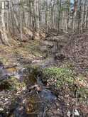 PART LOT 14 CONCESSION 7 | McMurrich/Monteith Ontario | Slide Image Fifteen