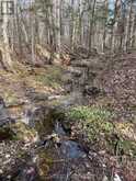 PART LOT 14 CONCESSION 7 | McMurrich/Monteith Ontario | Slide Image Sixteen