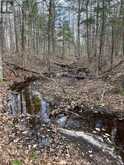 PART LOT 14 CONCESSION 7 | McMurrich/Monteith Ontario | Slide Image Seventeen