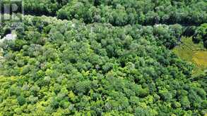 PART LOT 14 CONCESSION 7 | McMurrich/Monteith Ontario | Slide Image One