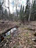 PART LOT 14 CONCESSION 7 | McMurrich/Monteith Ontario | Slide Image Twenty