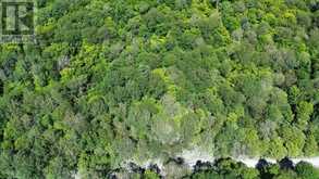 PART LOT 14 CONCESSION 7 | McMurrich/Monteith Ontario | Slide Image Two