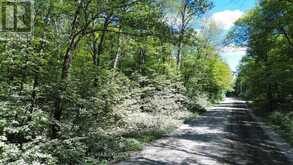 PART LOT 14 CONCESSION 7 | McMurrich/Monteith Ontario | Slide Image Five