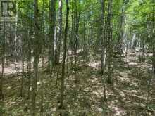 PART LOT 14 CONCESSION 7 | McMurrich/Monteith Ontario | Slide Image Ten